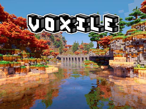 Voxile: Voxels, Beleza e Tecnologia em Harmonia